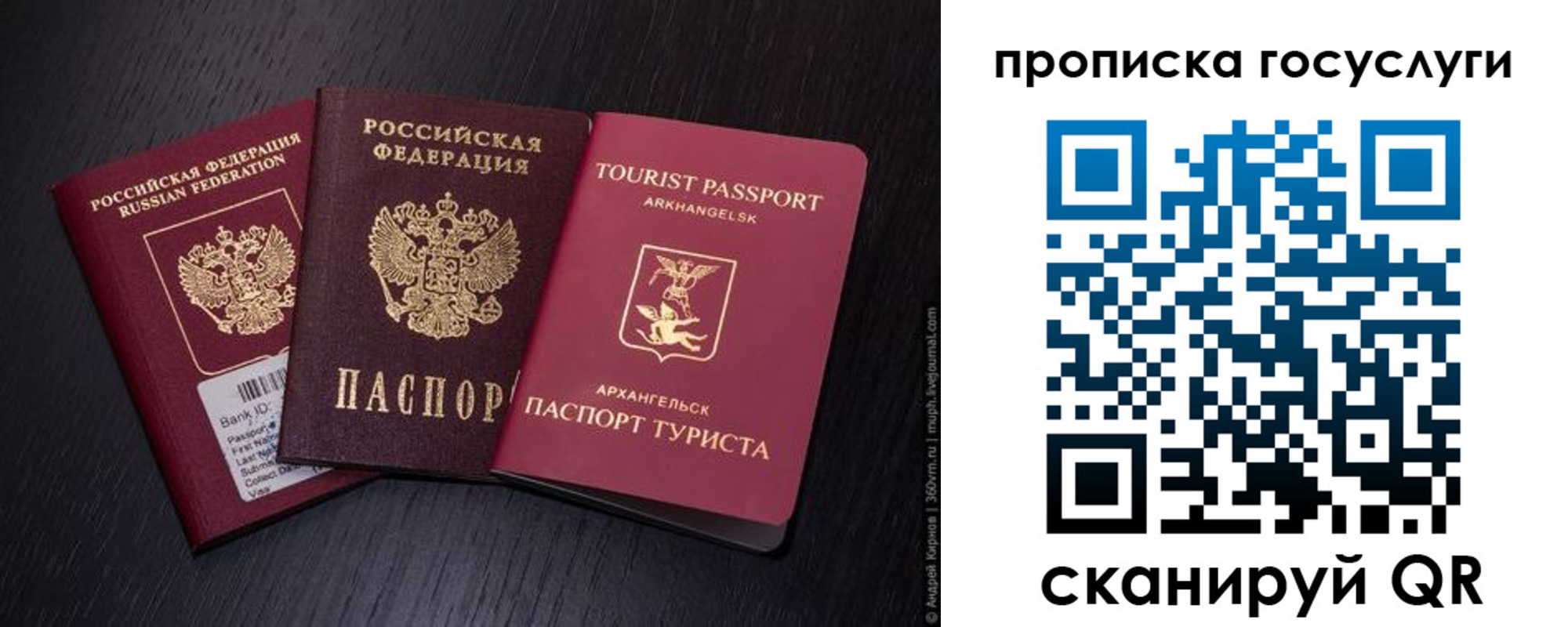 прописка 2025 в Миллерово
